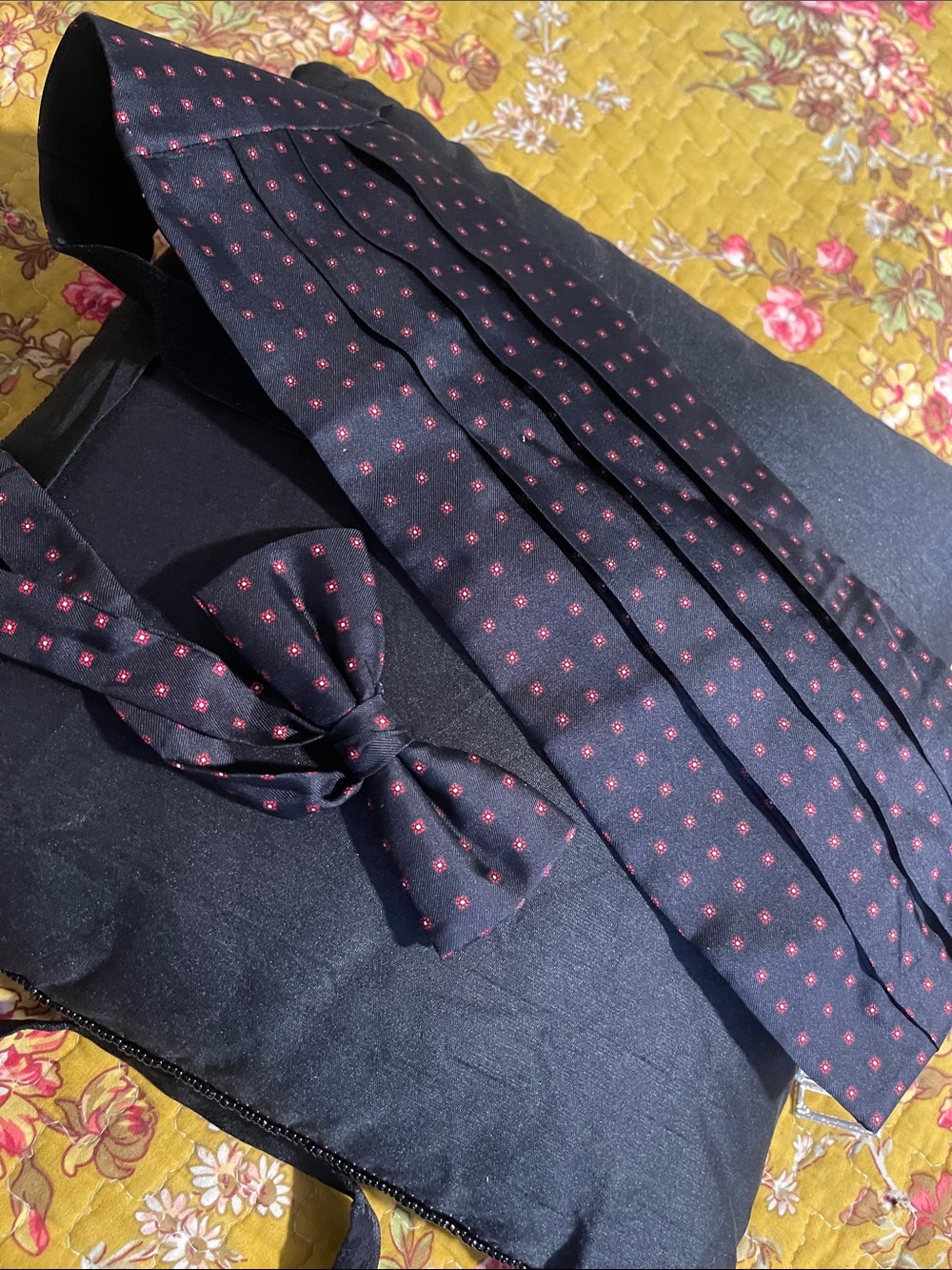 Black Cummerbund & Bow Tie Set with Red Dot Pattern - Men's Accessories